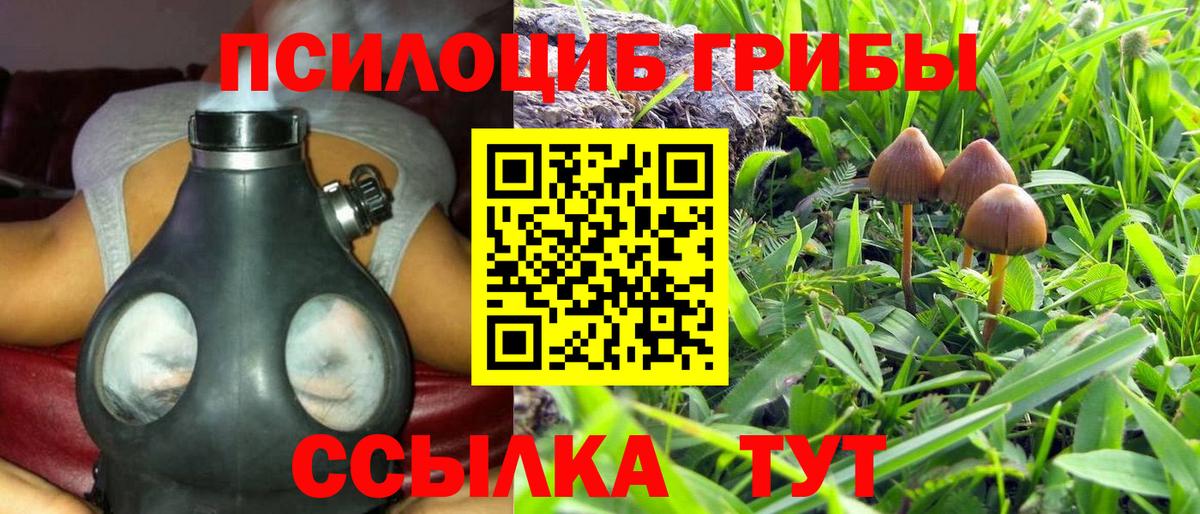 Псилоцибиновые грибы Psilocybe  Псилоцибиновые грибы мухоморы  Вход с VPN  Звенигород 