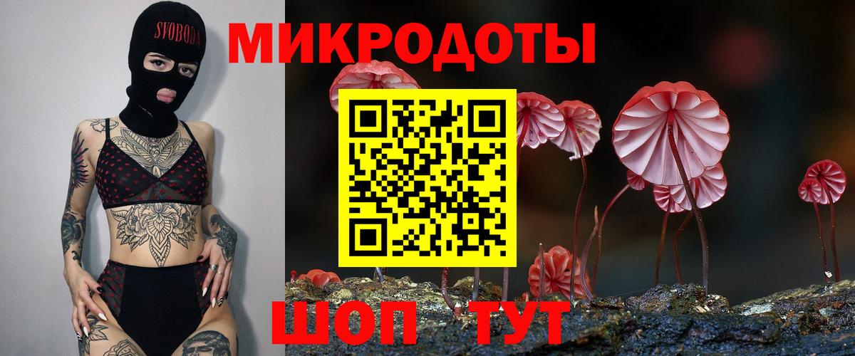 Псилоцибиновые грибы прущие грибы Звенигород